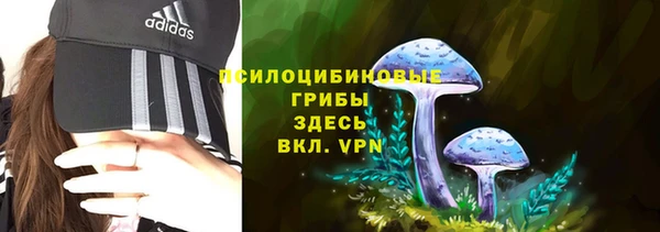 гидра Баксан